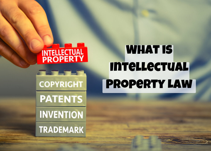 Intellectual Property Law